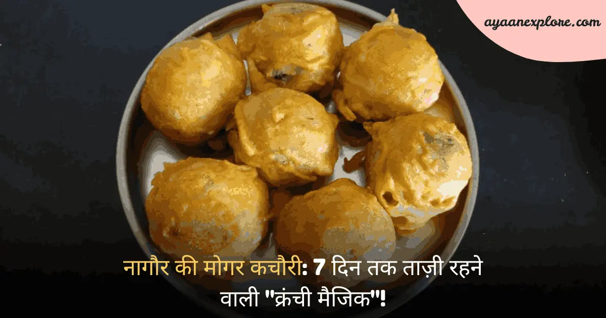 नागौर की मोगर कचौरी: 7 दिन तक ताज़ी रहने वाली "क्रंची मैजिक"!